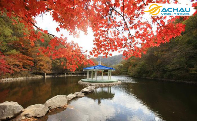 mùa thu Hàn Quốc 6